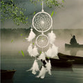 Elegant White Decorative Feathers for Home and Events Dubai UAE premium white decorative feathers for home decor weddings parties and DIY crafts
