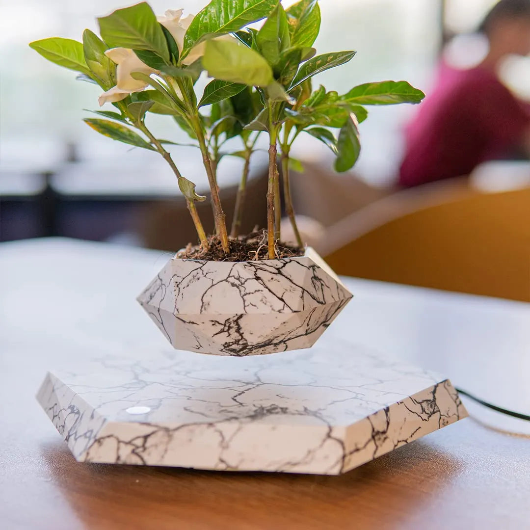 Levitating Magnetic Floating Marble Planter Dubai UAE magnetic floating marble plant pot for indoor plants home decor office desk decoration and modern interiors