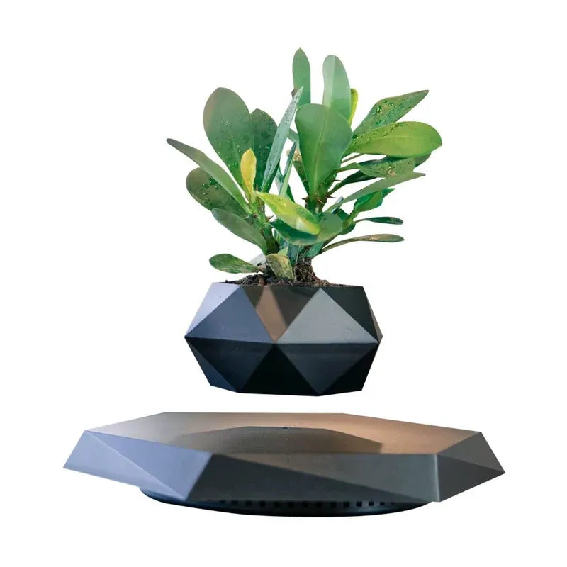 Levitating Bonsai Planter Magnetic Floating Pot Dubai UAE magnetic levitating plant pot for bonsai plants home office desk decor and modern interior decoration