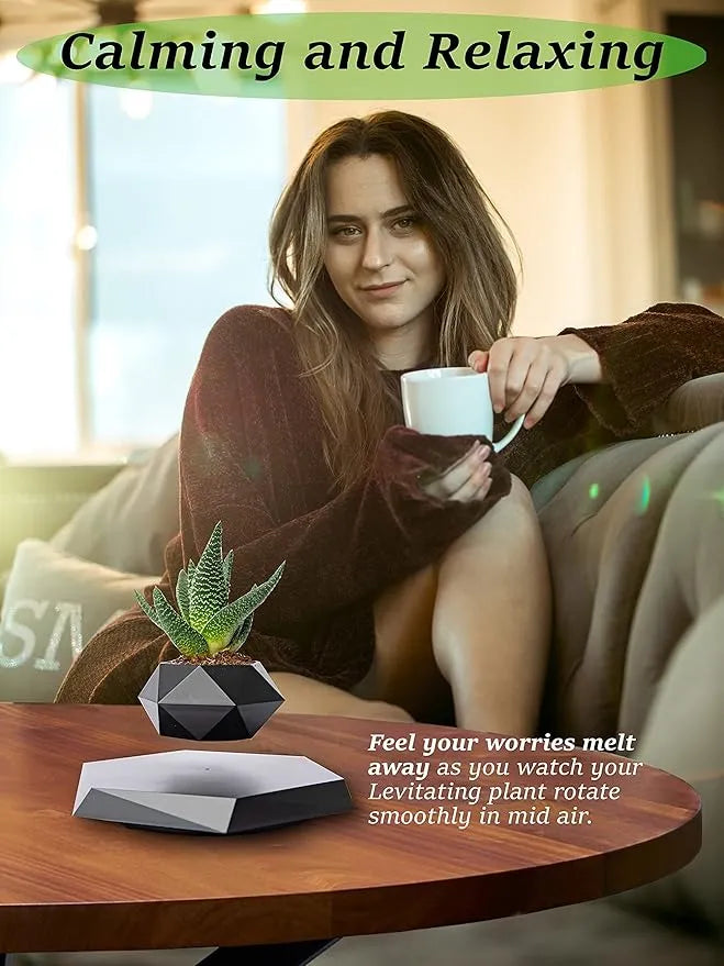 Levitating Bonsai Planter Magnetic Floating Pot Dubai UAE magnetic levitating plant pot for bonsai plants home office desk decor and modern interior decoration
