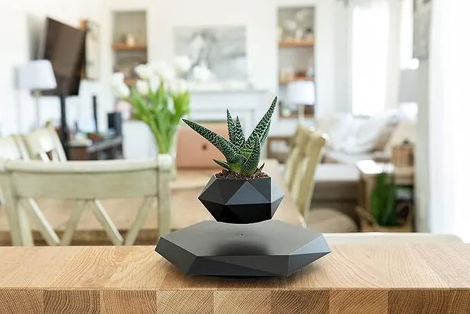 Levitating Bonsai Planter Magnetic Floating Pot Dubai UAE magnetic levitating plant pot for bonsai plants home office desk decor and modern interior decoration
