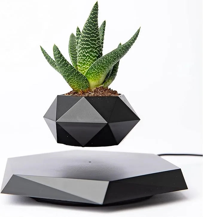 Levitating Bonsai Planter Magnetic Floating Pot Dubai UAE magnetic levitating plant pot for bonsai plants home office desk decor and modern interior decoration
