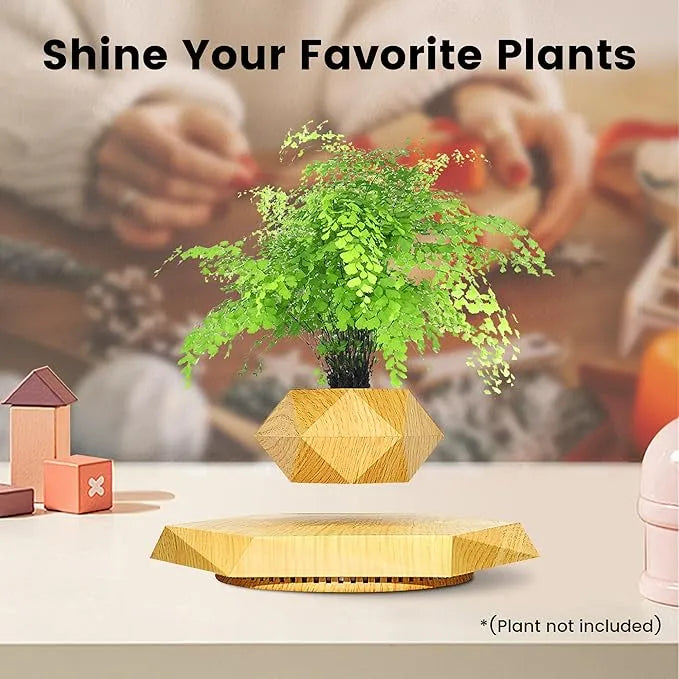 Levitating Bonsai Planter Magnetic Floating Pot Dubai UAE magnetic levitating plant pot for bonsai plants home office desk decor and modern interior decoration