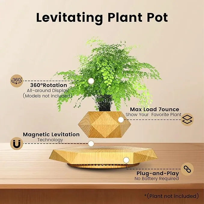 Levitating Bonsai Planter Magnetic Floating Pot Dubai UAE magnetic levitating plant pot for bonsai plants home office desk decor and modern interior decoration