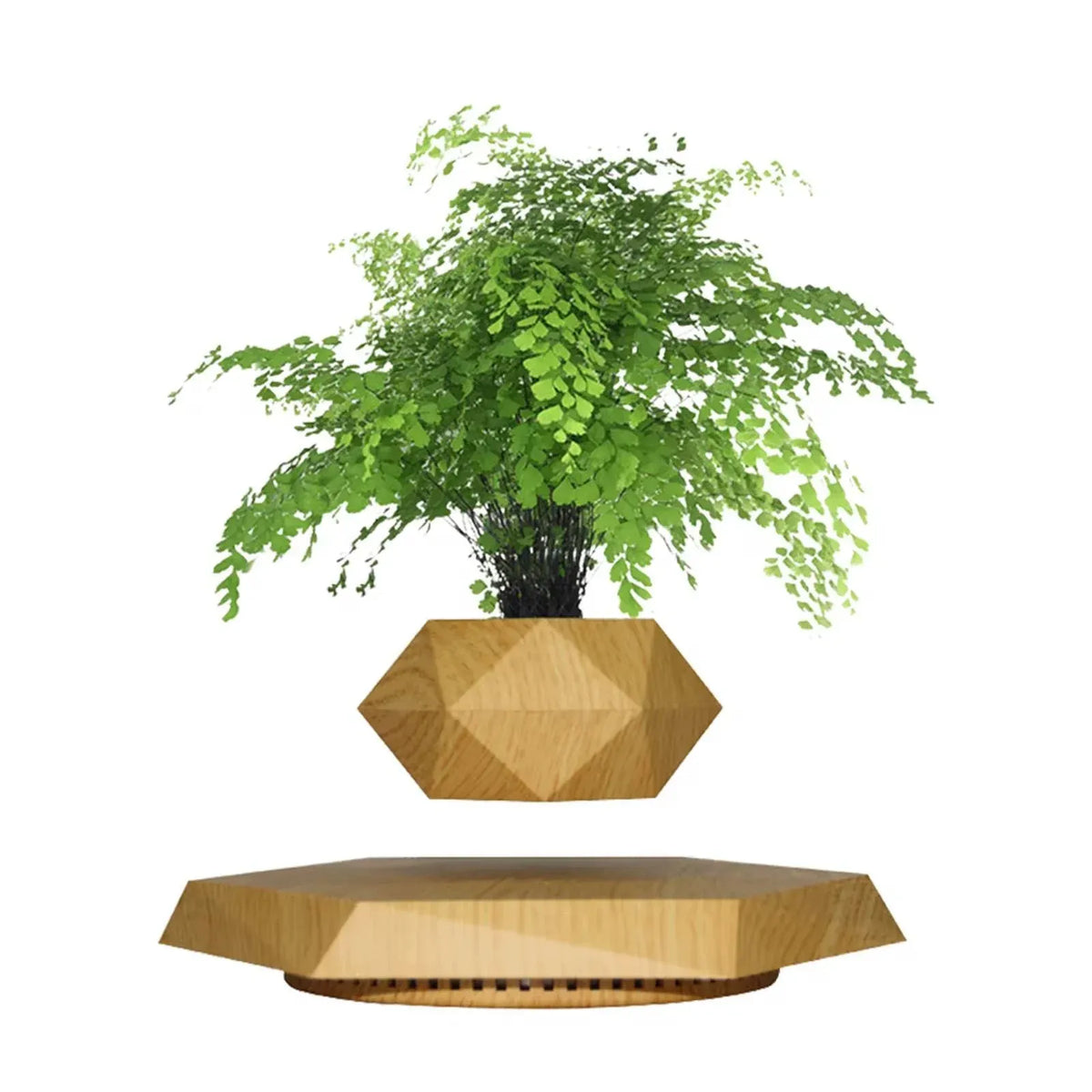 Levitating Bonsai Planter Magnetic Floating Pot Dubai UAE magnetic levitating plant pot for bonsai plants home office desk decor and modern interior decoration