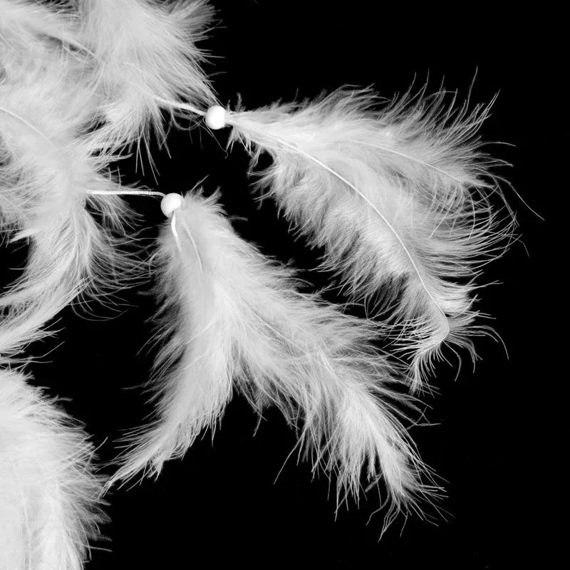 Elegant White Decorative Feathers for Home and Events Dubai UAE premium white decorative feathers for home decor weddings parties and DIY crafts